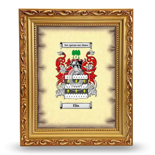Elin Coat of Arms Framed - Gold