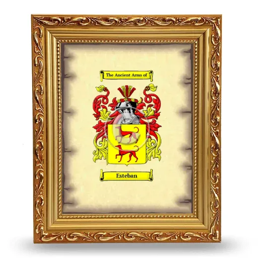 Esteban Coat of Arms Framed - Gold