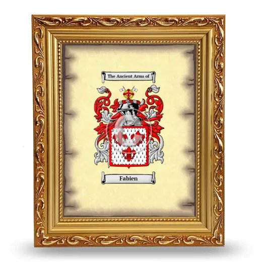 Fabien Coat of Arms Framed - Gold