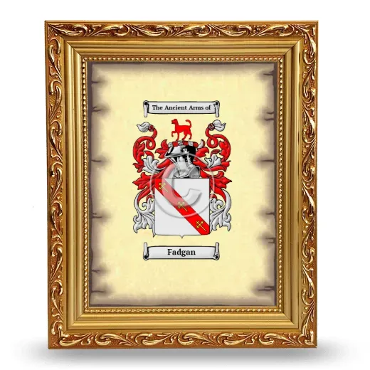 Fadgan Coat of Arms Framed - Gold