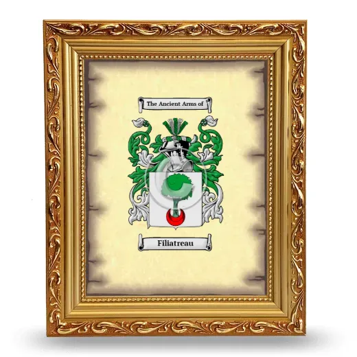 Filiatreau Coat of Arms Framed - Gold