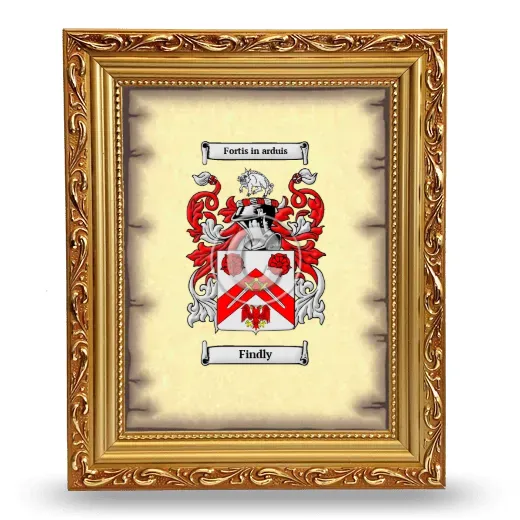Findly Coat of Arms Framed - Gold