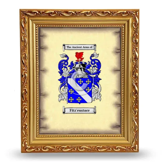 Fitz'eustace Coat of Arms Framed - Gold