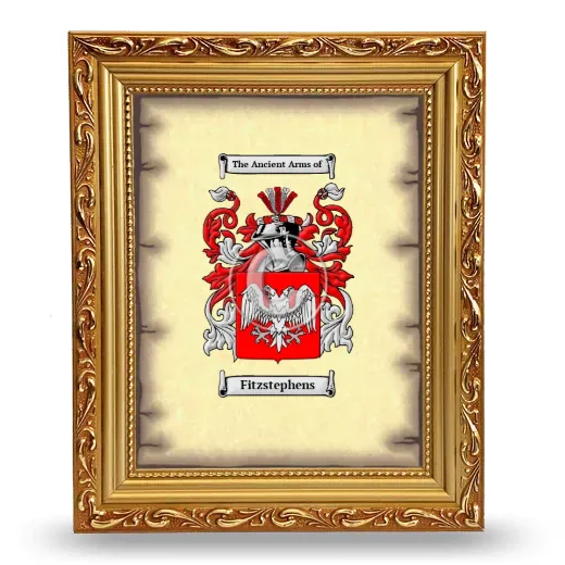 Fitzstephens Coat of Arms Framed - Gold