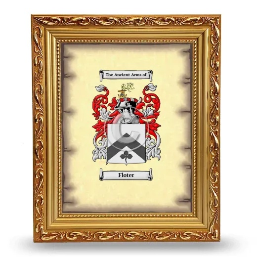 Floter Coat of Arms Framed - Gold