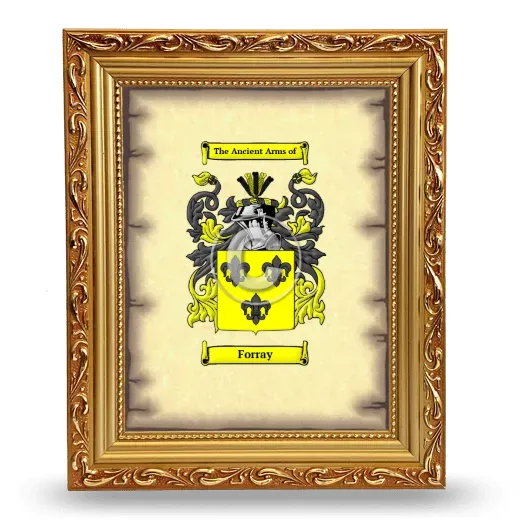 Forray Coat of Arms Framed - Gold
