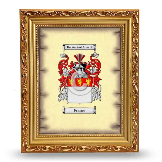 France Coat of Arms Framed - Gold