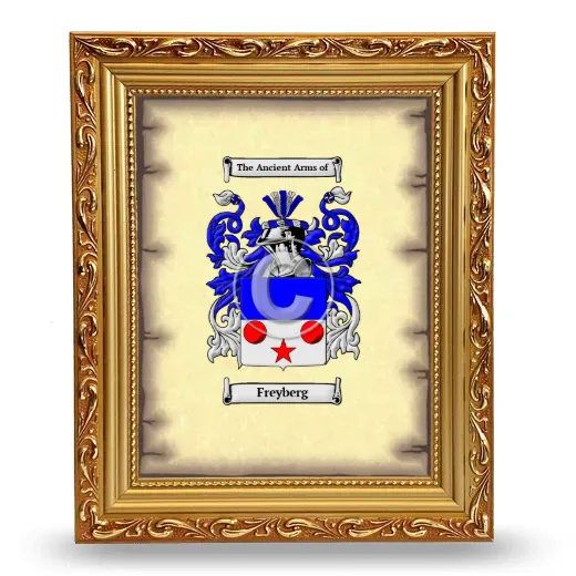 Freyberg Coat of Arms Framed - Gold
