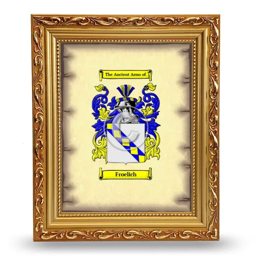 Froelich Coat of Arms Framed - Gold