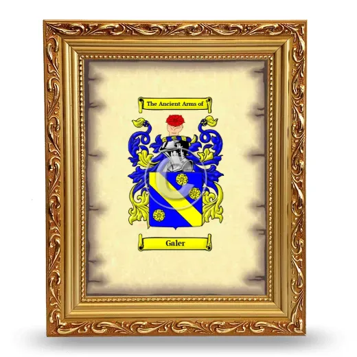 Galer Coat of Arms Framed - Gold
