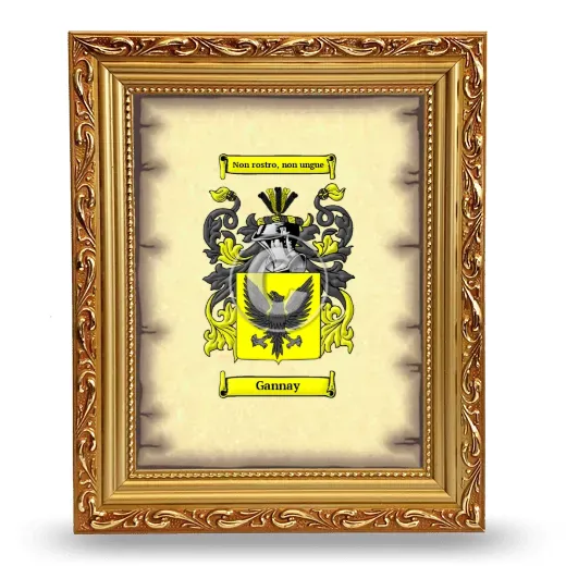 Gannay Coat of Arms Framed - Gold