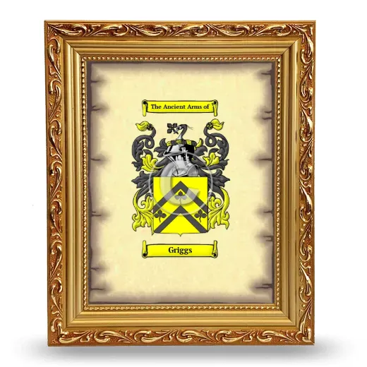 Griggs Coat of Arms Framed - Gold
