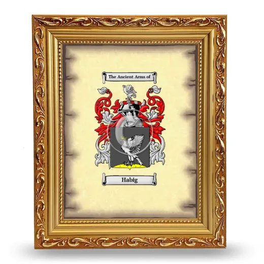 Habig Coat of Arms Framed - Gold