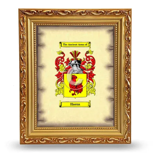 Haens Coat of Arms Framed - Gold