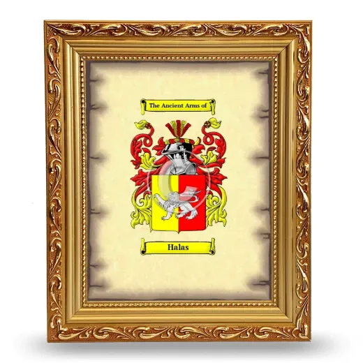 Halas Coat of Arms Framed - Gold