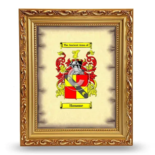 Haname Coat of Arms Framed - Gold