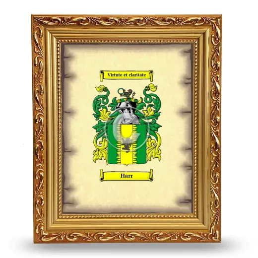 Harr Coat of Arms Framed - Gold