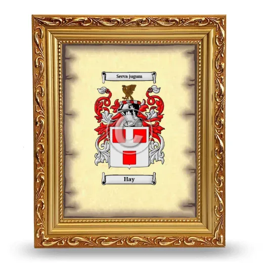 Hay Coat of Arms Framed - Gold