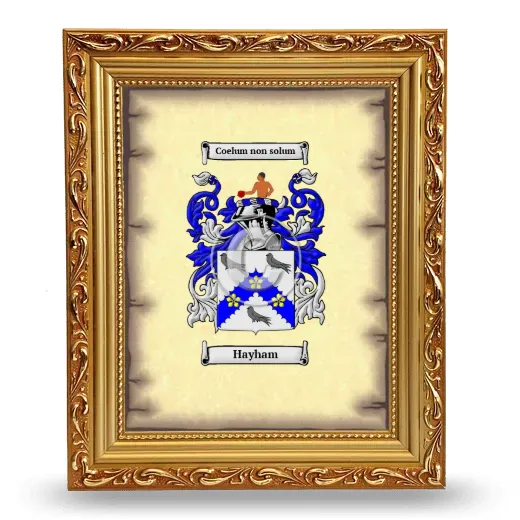 Hayham Coat of Arms Framed - Gold