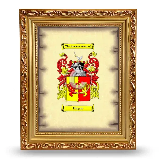Hayne Coat of Arms Framed - Gold