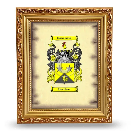 Heathers Coat of Arms Framed - Gold