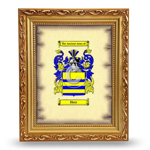 Herr Coat of Arms Framed - Gold