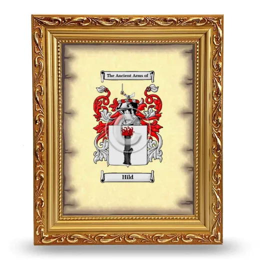 Hild Coat of Arms Framed - Gold