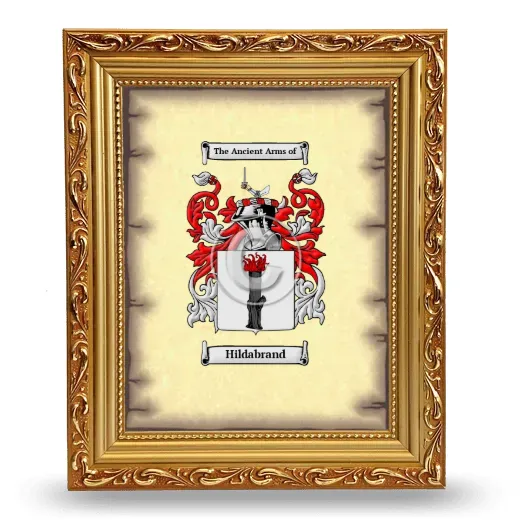 Hildabrand Coat of Arms Framed - Gold