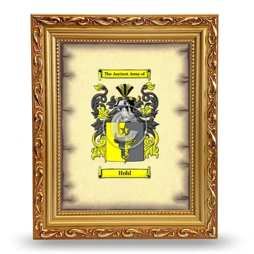 Hohl Coat of Arms Framed - Gold