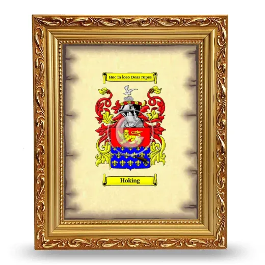 Hoking Coat of Arms Framed - Gold