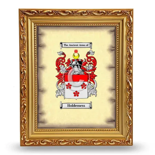 Holderness Coat of Arms Framed - Gold