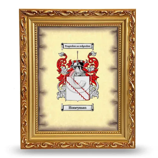 Honeyman Coat of Arms Framed - Gold