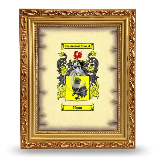 Honn Coat of Arms Framed - Gold