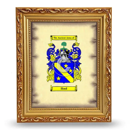 Hool Coat of Arms Framed - Gold
