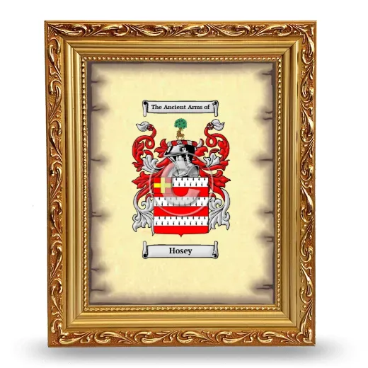Hosey Coat of Arms Framed - Gold