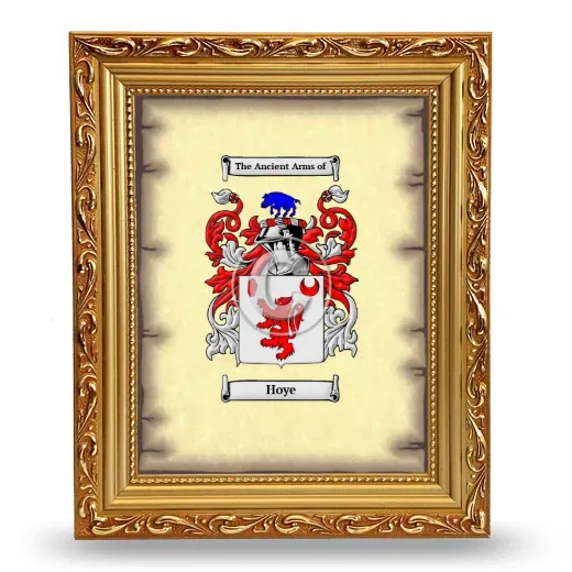 Hoye Coat of Arms Framed - Gold