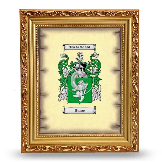 Hume Coat of Arms Framed - Gold