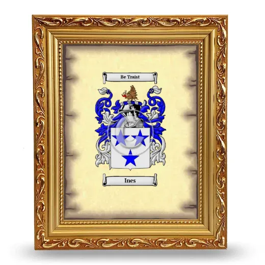 Ines Coat of Arms Framed - Gold