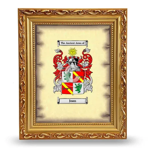 Joan Coat of Arms Framed - Gold