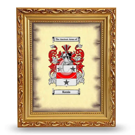 Kania Coat of Arms Framed - Gold