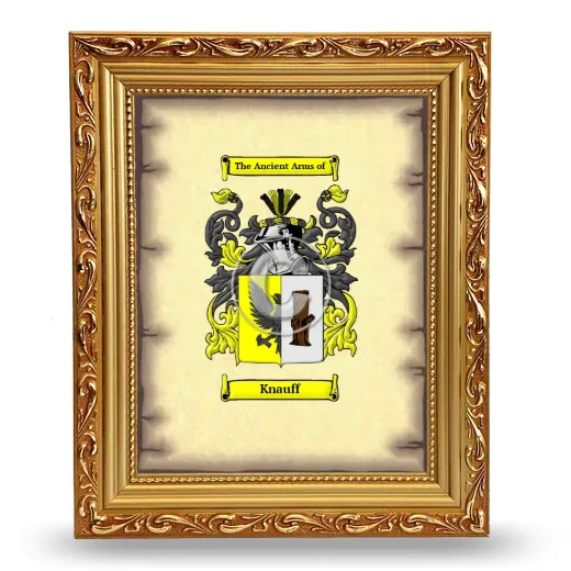 Knauff Coat of Arms Framed - Gold