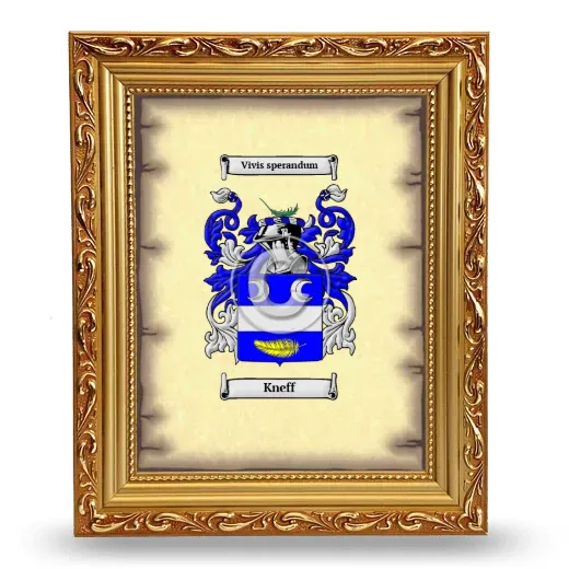 Kneff Coat of Arms Framed - Gold