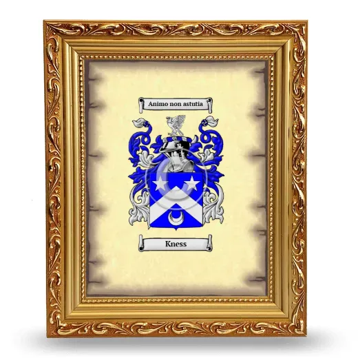 Kness Coat of Arms Framed - Gold