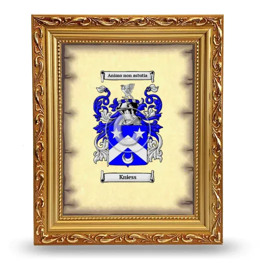 Kniess Coat of Arms Framed - Gold
