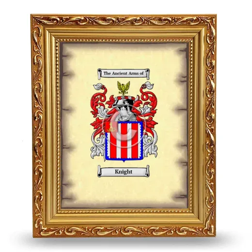 Knight Coat of Arms Framed - Gold