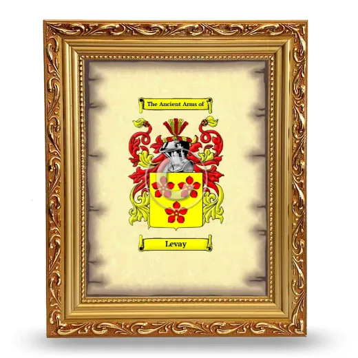 Levay Coat of Arms Framed - Gold