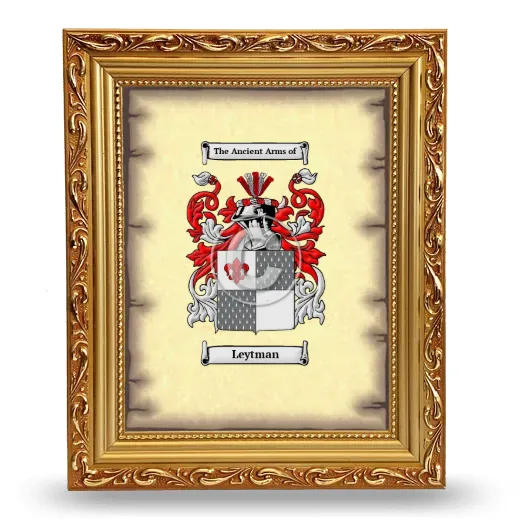 Leytman Coat of Arms Framed - Gold