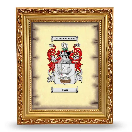 Lian Coat of Arms Framed - Gold