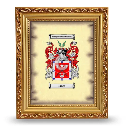 Lines Coat of Arms Framed - Gold