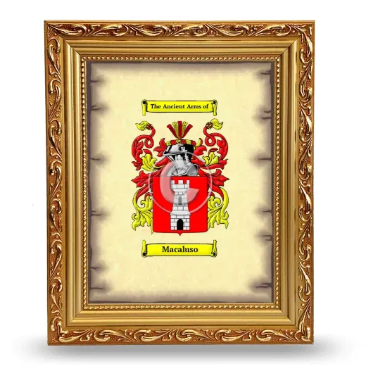 Macaluso Coat of Arms Framed - Gold